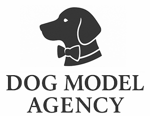 ドッグモデルエージェンシー