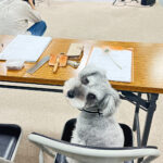 Thumbnail of new posts 113